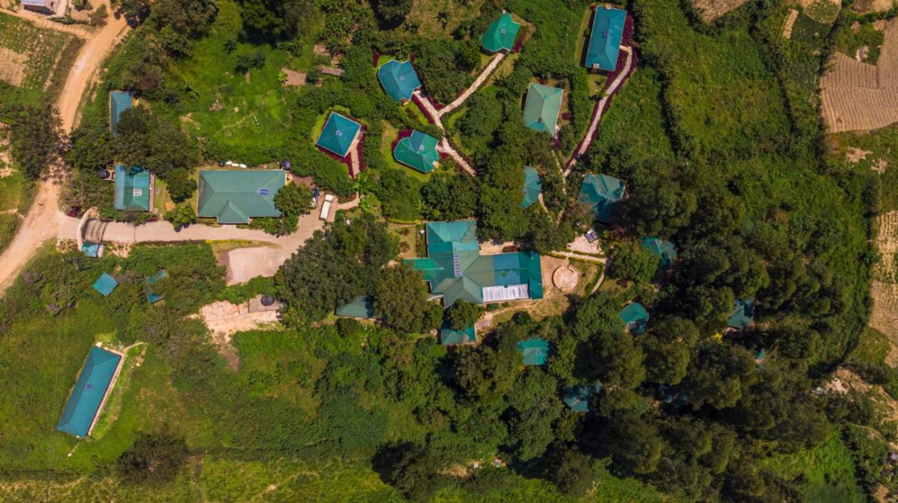 Gorilla Safari Lodge Rubuguli Ngoại thất bức ảnh
