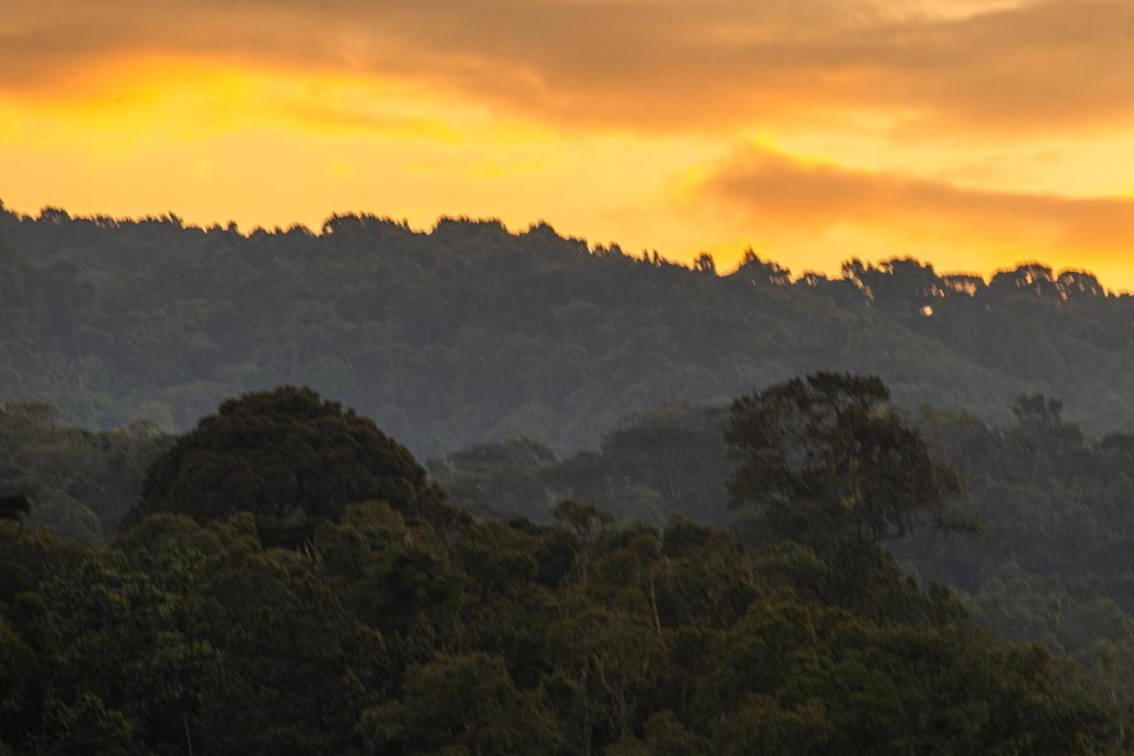 Gorilla Safari Lodge Rubuguli Ngoại thất bức ảnh