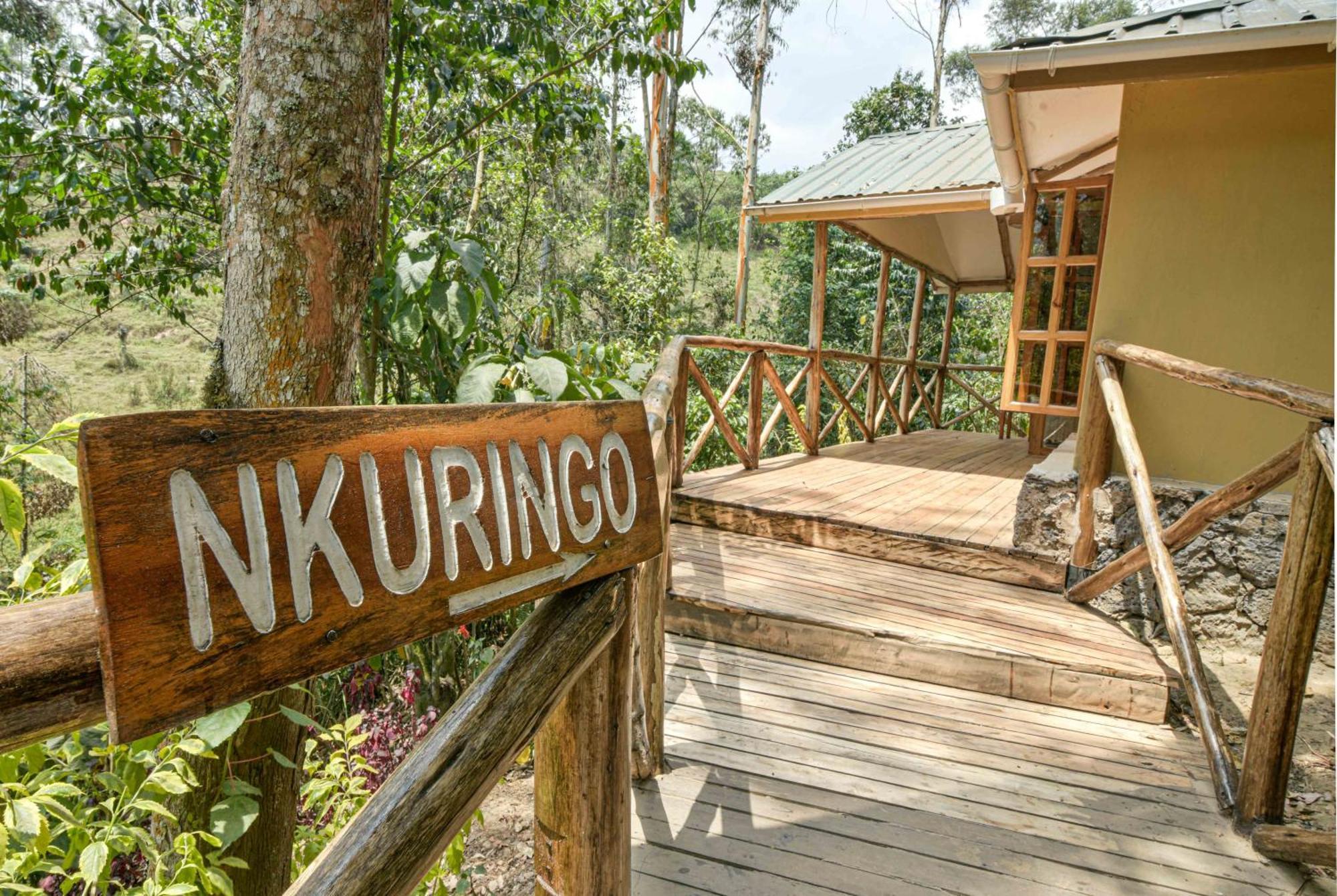 Gorilla Safari Lodge Rubuguli Ngoại thất bức ảnh