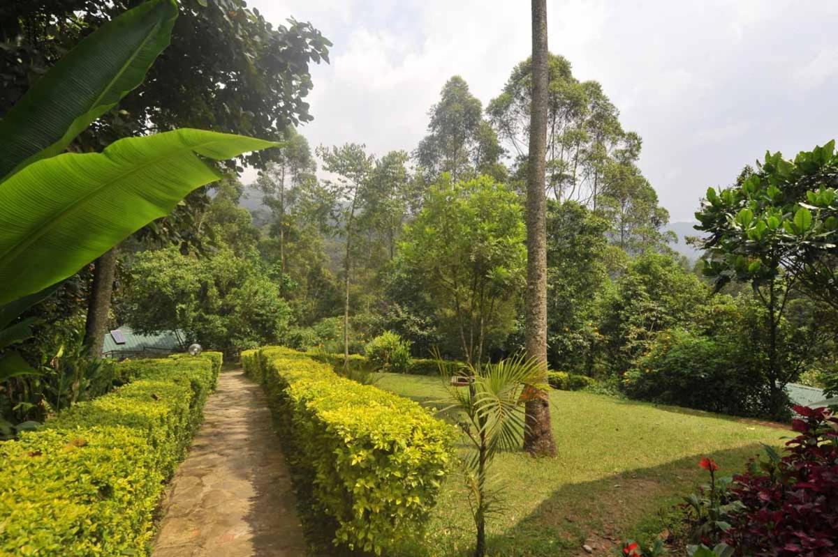 Gorilla Safari Lodge Rubuguli Ngoại thất bức ảnh